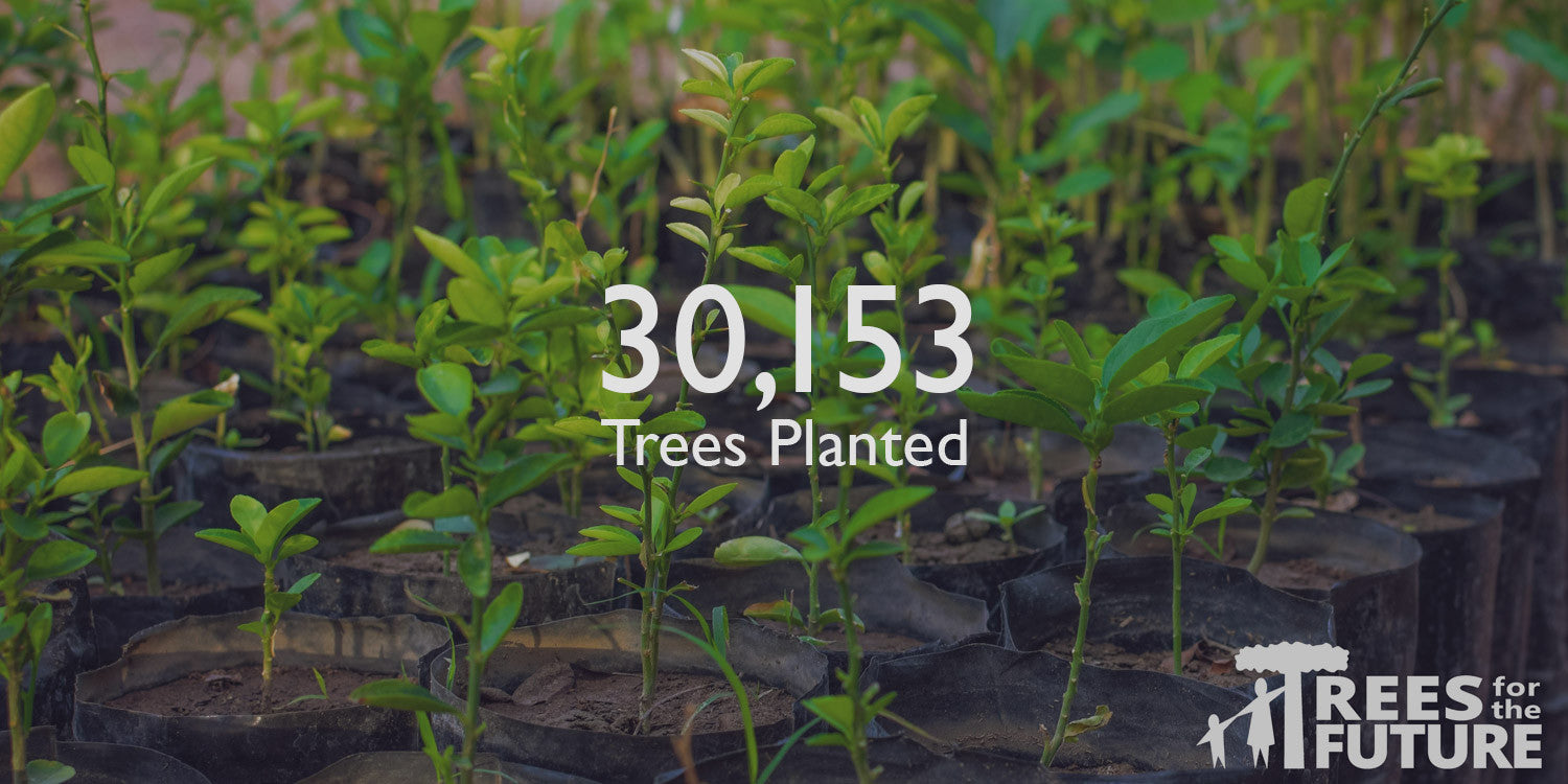 30,153 Trees Planted Thanks to You