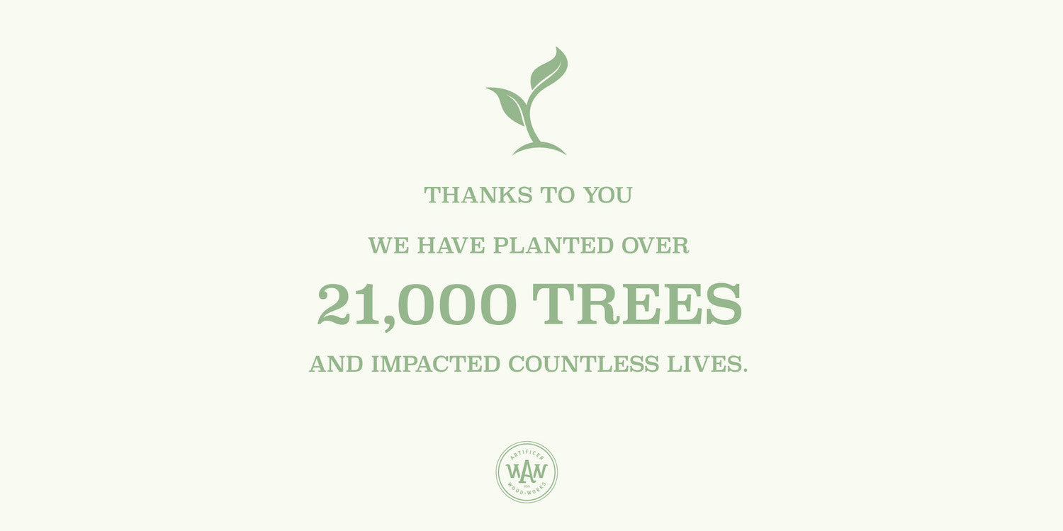 Planting Trees are Positively Impacting Children